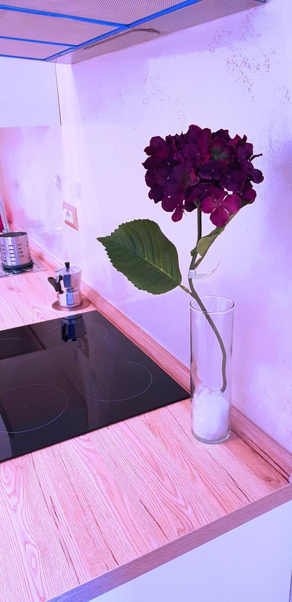 Green Oasis روما المظهر الخارجي الصورة